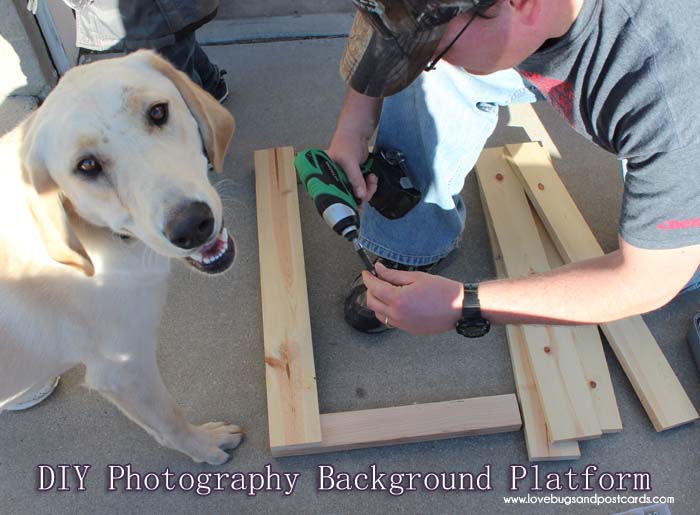 DIY Wood Photo Background - Platform