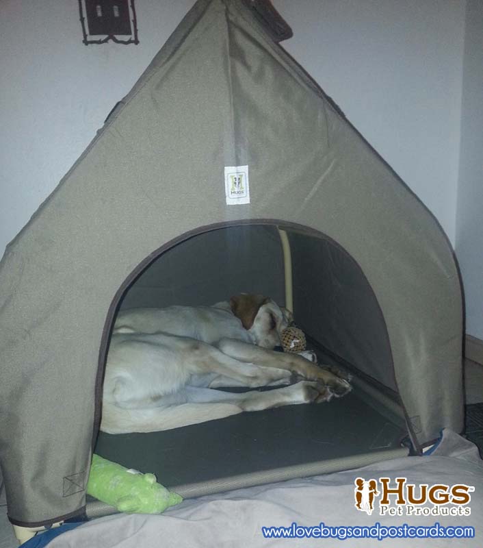 Hugs Cozy Cottage