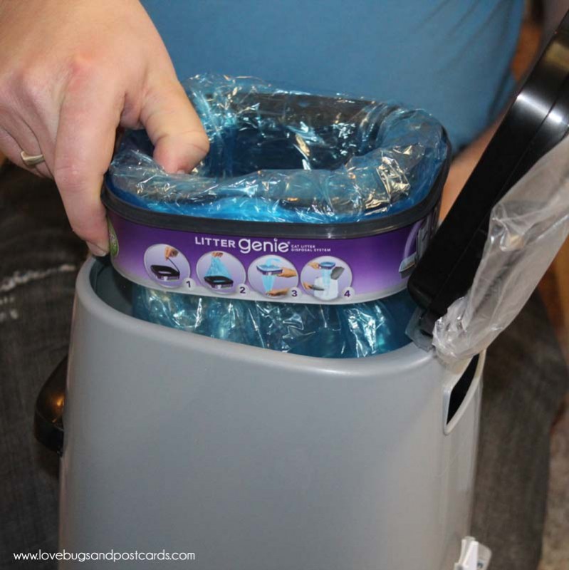 Litter Genie System for Cats