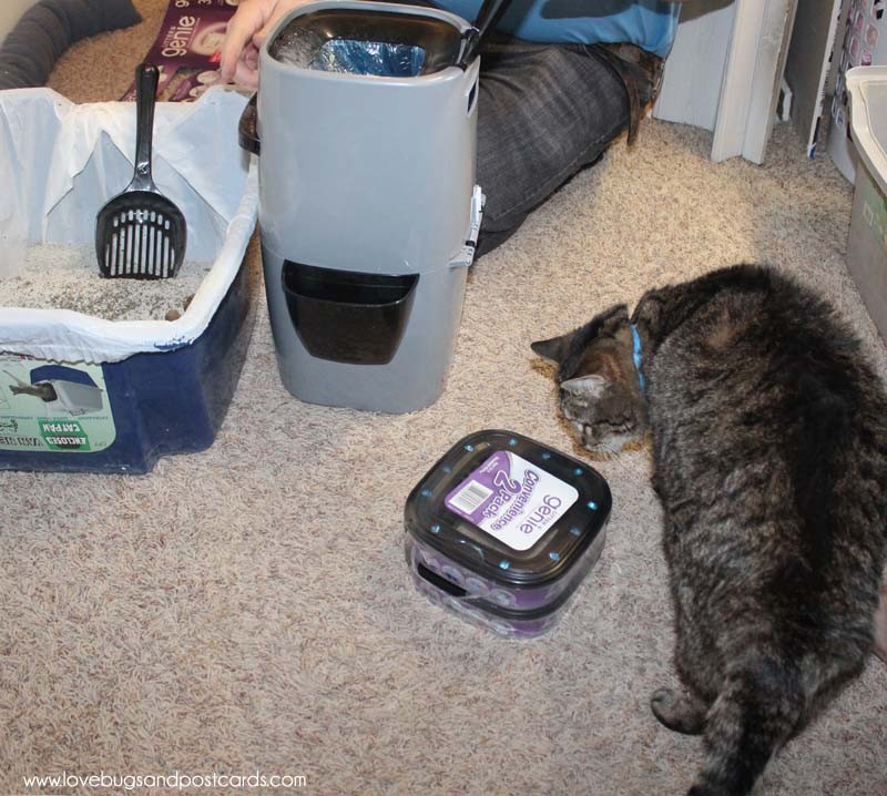 Litter Genie System for Cats