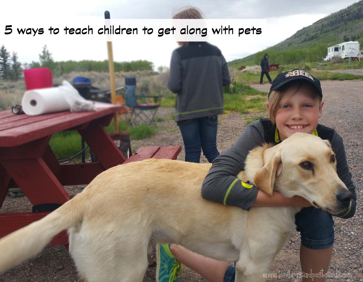 5 ways to teach children to get along with pets