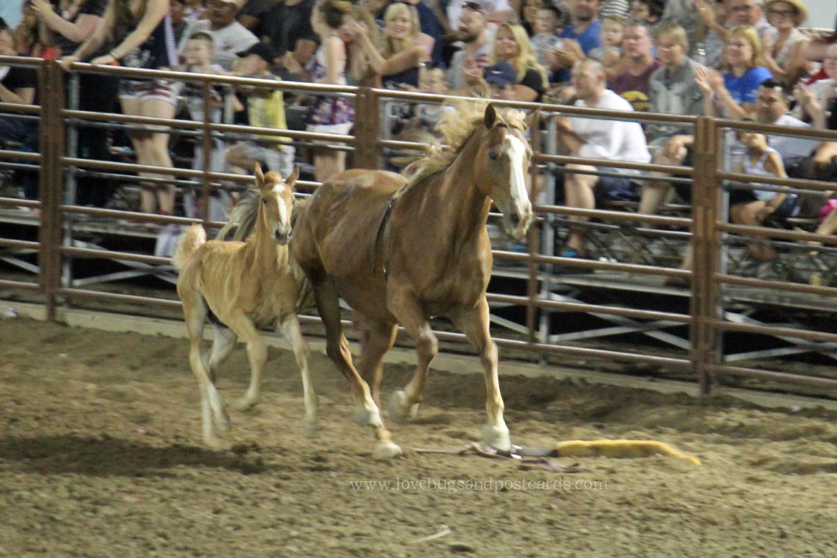 2015 West Jordan Western Stampede Rodeo