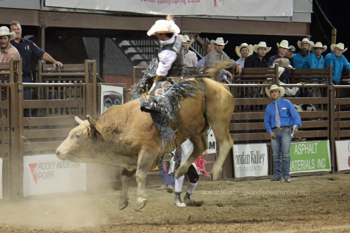 2015 West Jordan Western Stampede Rodeo