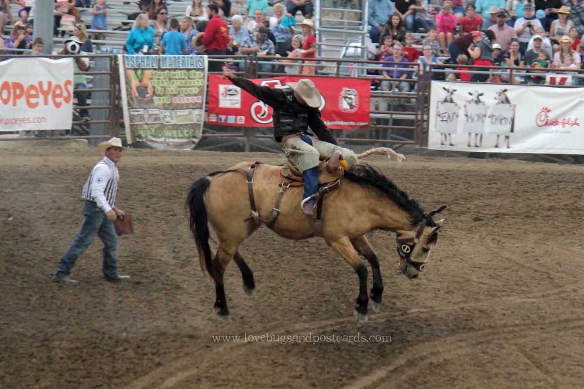2015 West Jordan Western Stampede Rodeo