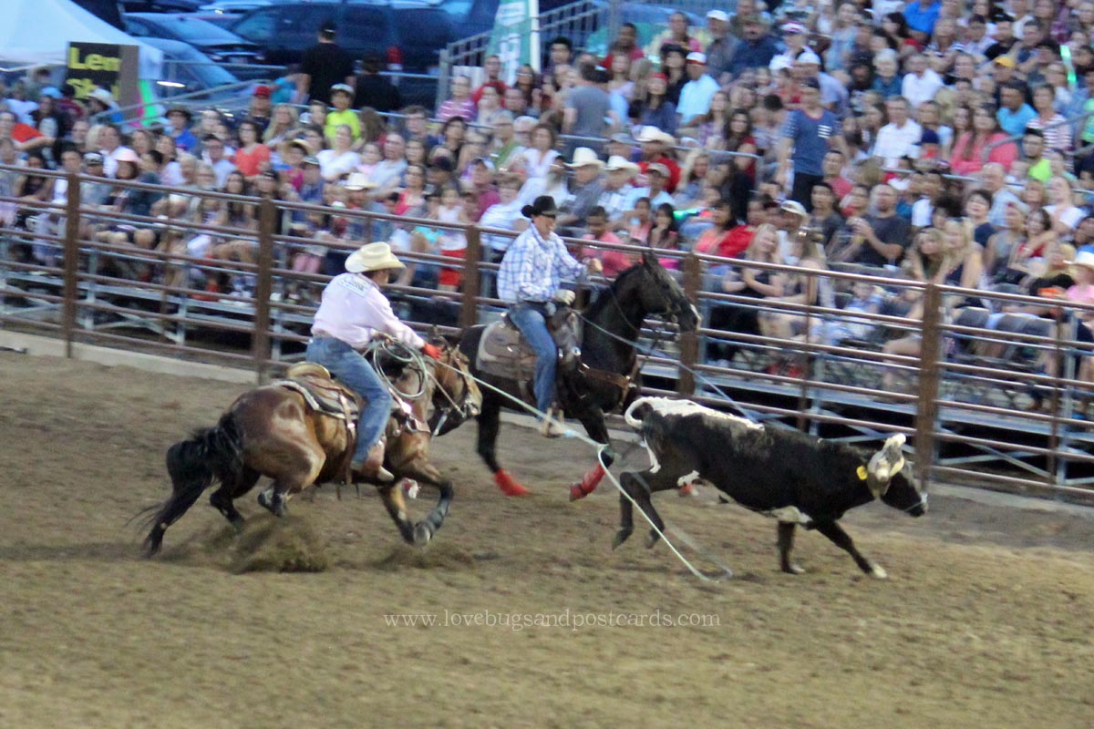 2015 West Jordan Western Stampede Rodeo