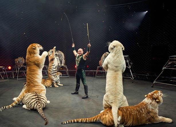 Ringling Bros. and Barnum & Bailey® PresentsCircus XTREME