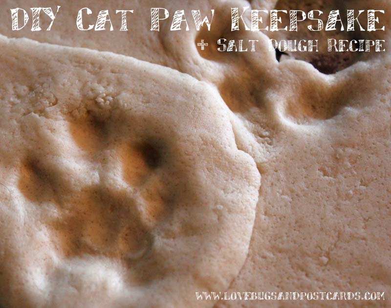 DIY Cat Paw Keepsake + Salt Dough Recipe