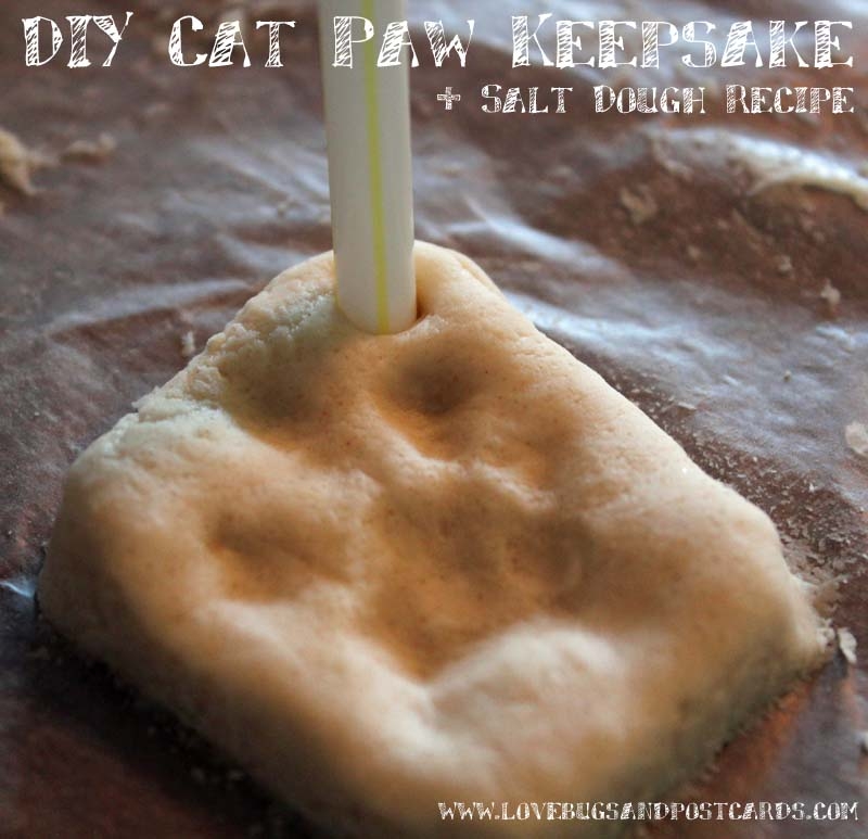DIY Cat Paw Keepsake + Salt Dough Recipe