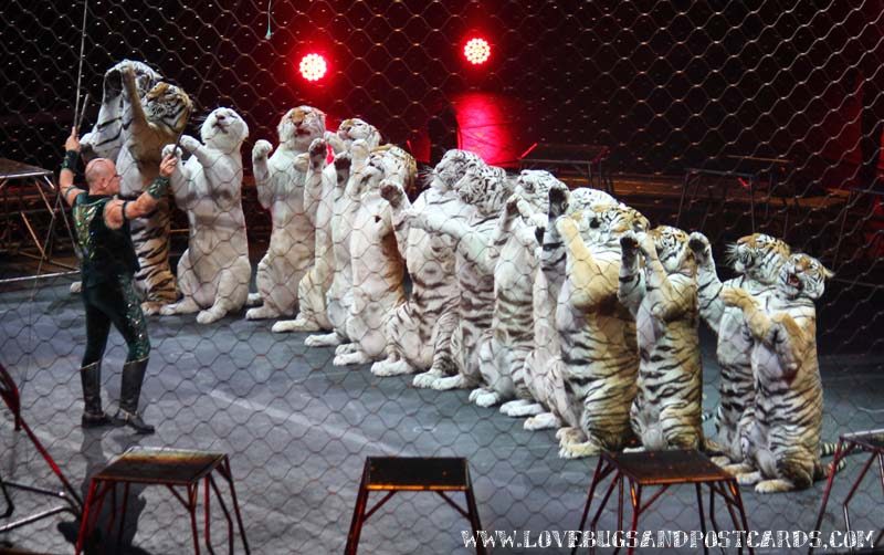 Circus XTREME presented by Ringling Bros. and Barnum & Bailey® Review
