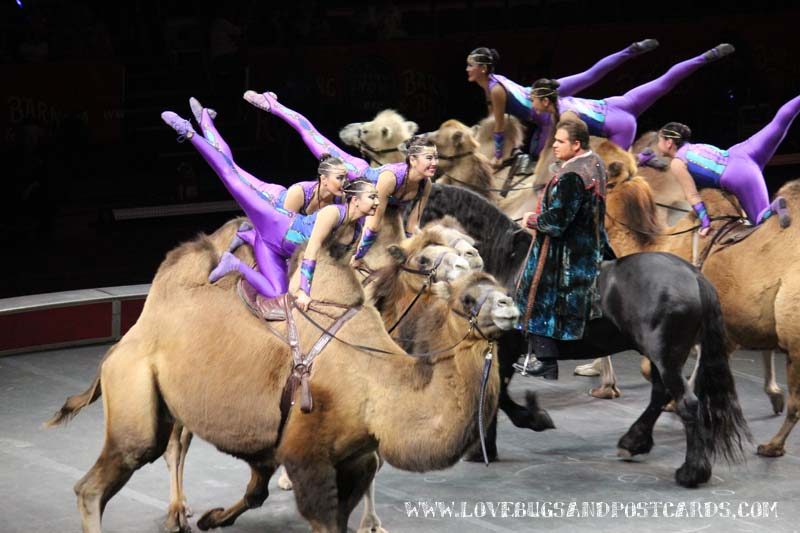 Circus XTREME presented by Ringling Bros. and Barnum & Bailey® Review