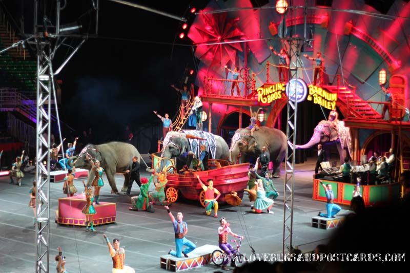 Circus XTREME presented by Ringling Bros. and Barnum & Bailey® Review