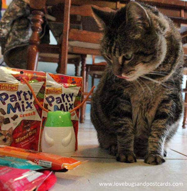 Best Gifts for your Cat + Friskies Giveaway