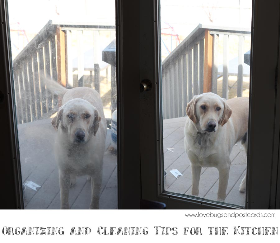 Organizing and Cleaning Tips for the Kitchen