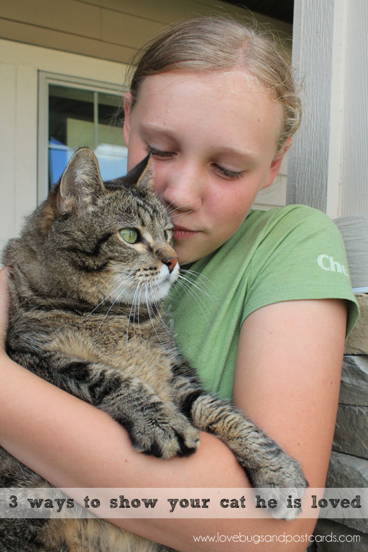 3 ways to show your cat he is loved + Coupon for Purina Pro Plan