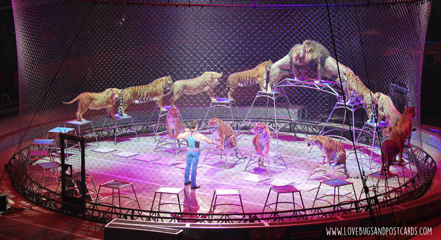 Review of Ringling Bros and Barnum & Bailey "Out of this World" Circus