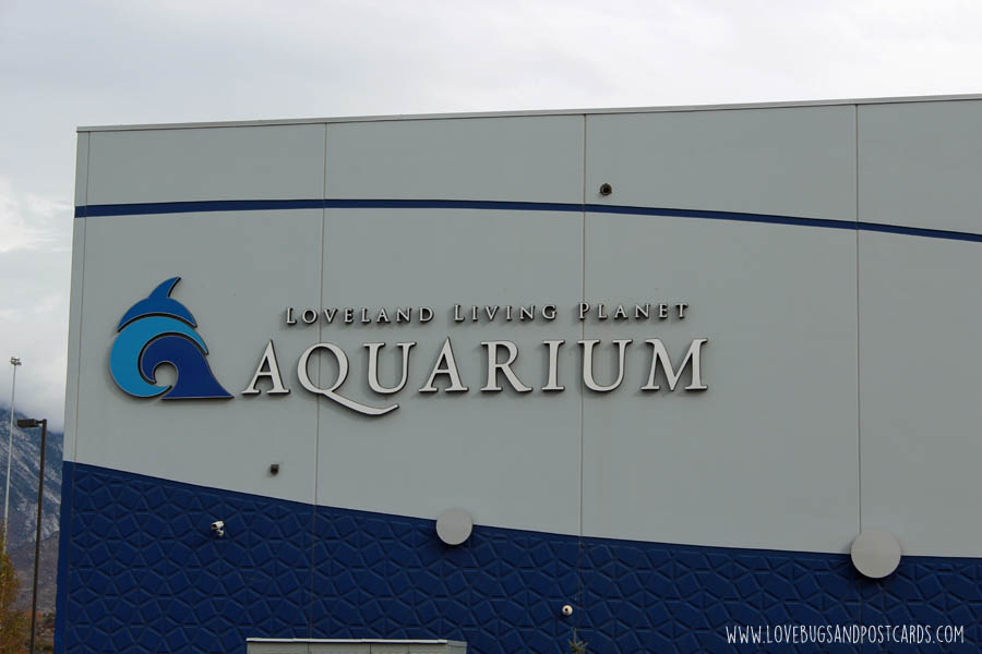 aquarium