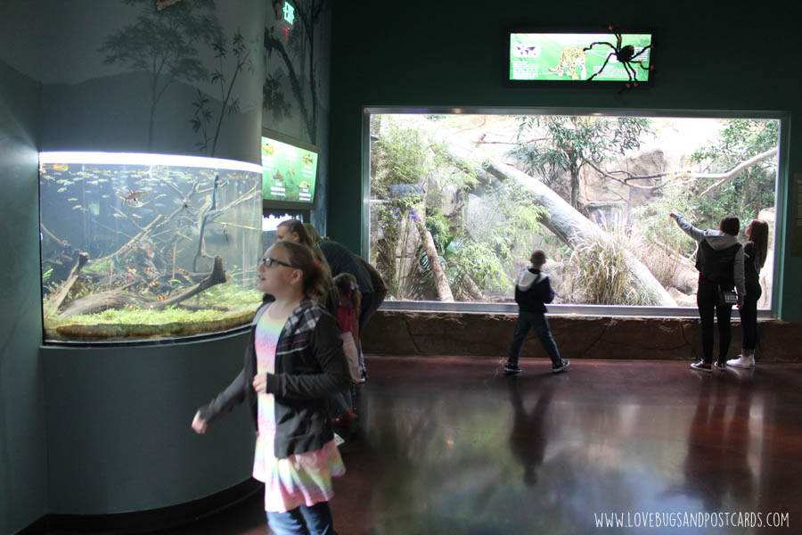 aquariumasia