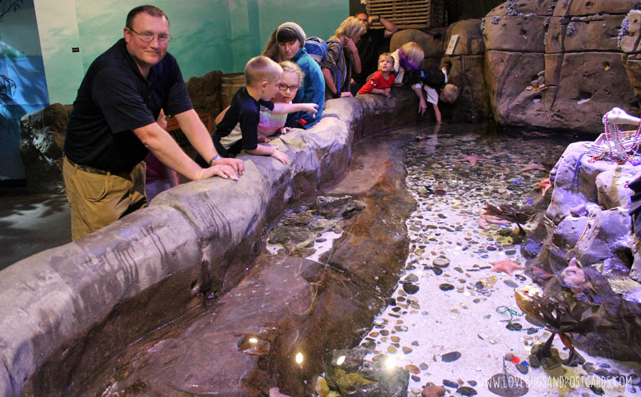 aquariumocean