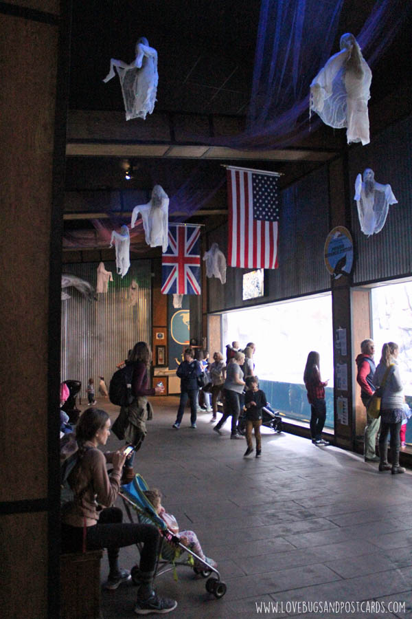 aquariumpenguineshaunted