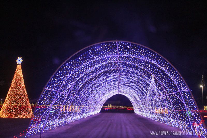 Christmas in Color in Kearns and Provo, Utah