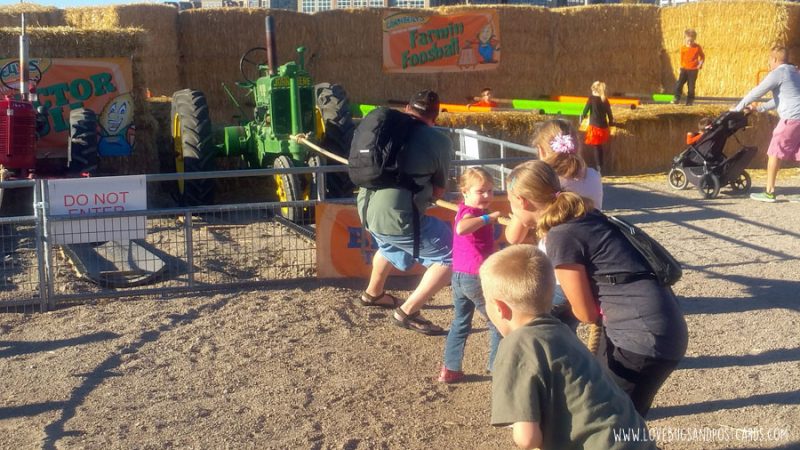 Cornbelly's Corn Maze at Thanksgiving Point