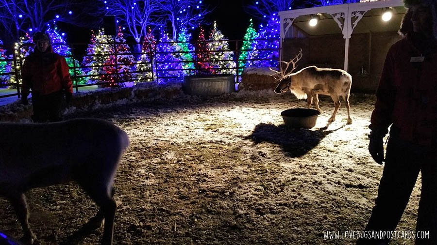 Luminaria at Thanksgiving Point in Utah