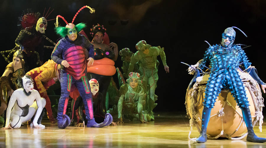 Cirque du Soleil OVO