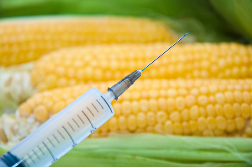 corn_needle