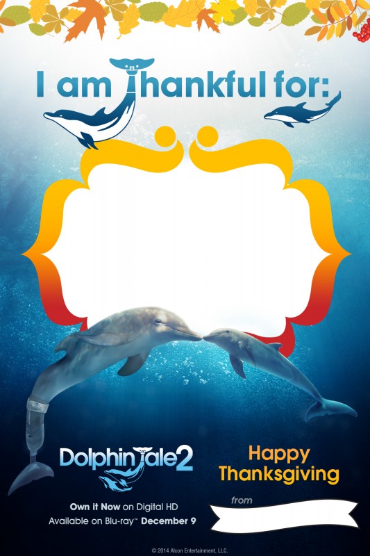 Dolphin Tale 2 Crafts