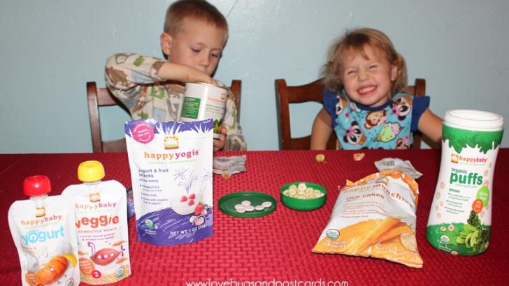 healthy-organic-snacks-for-toddlers