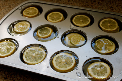  Freeze Lemons and Limes in a Muffin Pan with liquid to make large ice cubes for pitchers