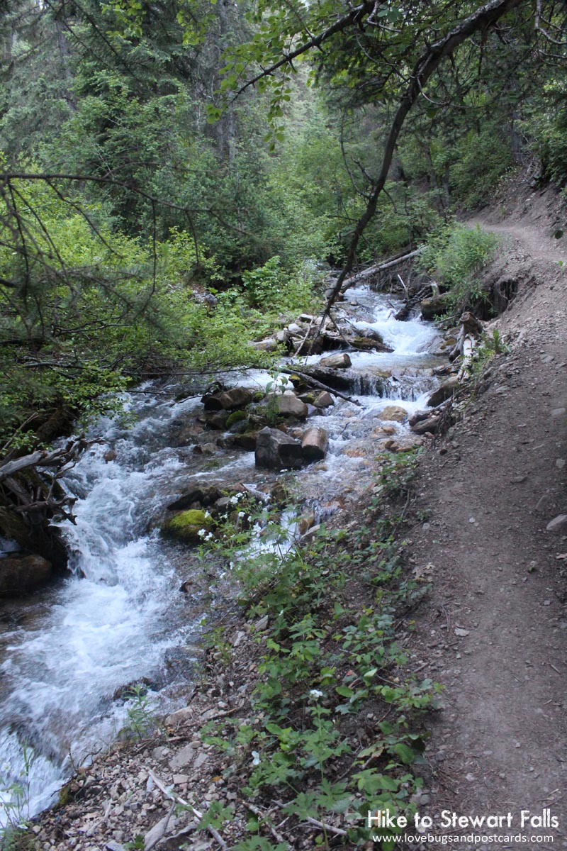 Hike to Stewart Falls (by Provo, Utah)