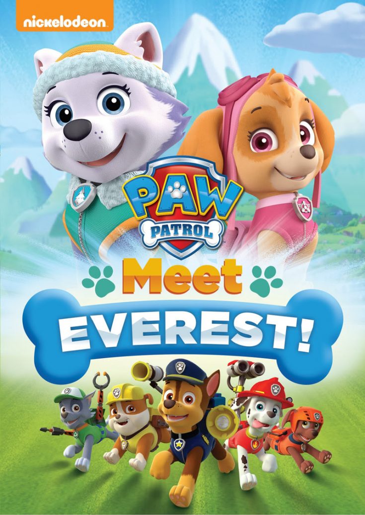 everest paw patrol teddy