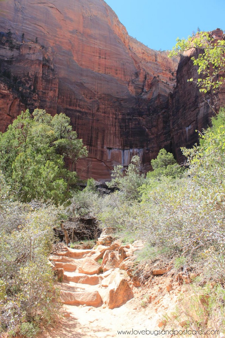 Emerald Pool Trails Hike Zion National Park - Lovebugs and Postcards