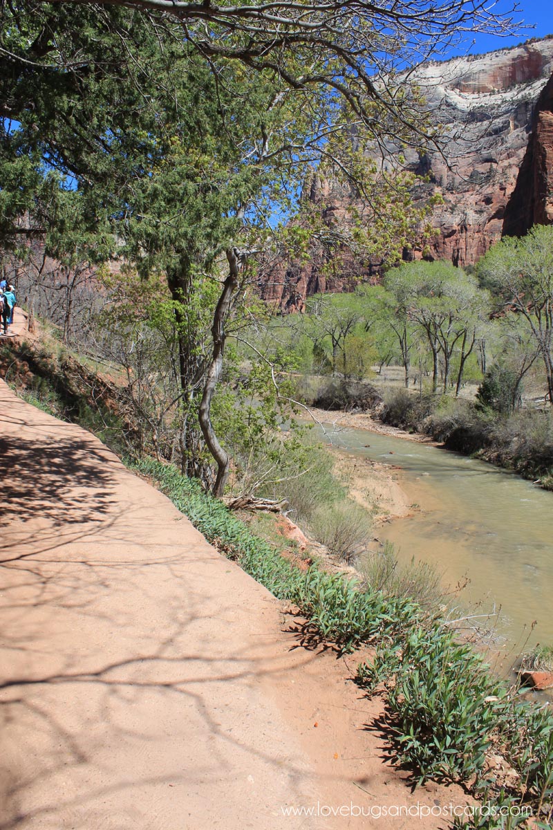 Emerald Pool Trails Hike Zion National Park