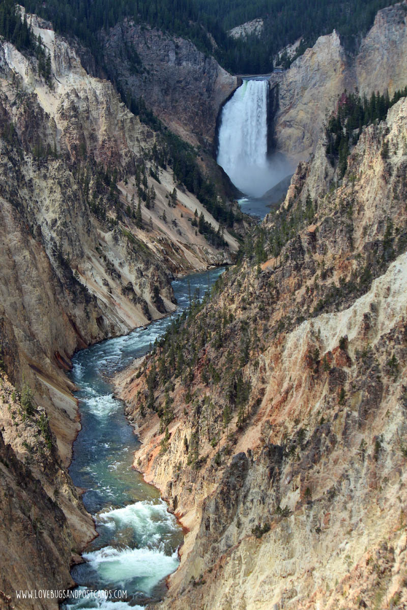 Grand Canyon of the Yellowstone - Yellowstone National Park - Lovebugs ...