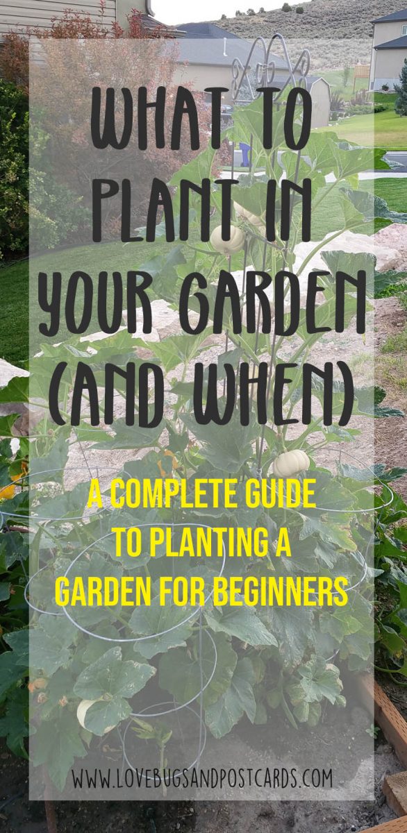 What to Plant in your garden (and when) - Lovebugs and Postcards