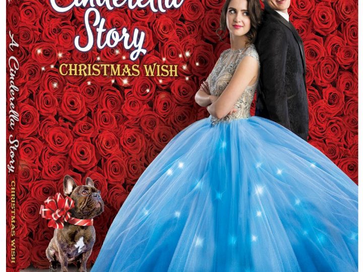 a cinderella story christmas wish