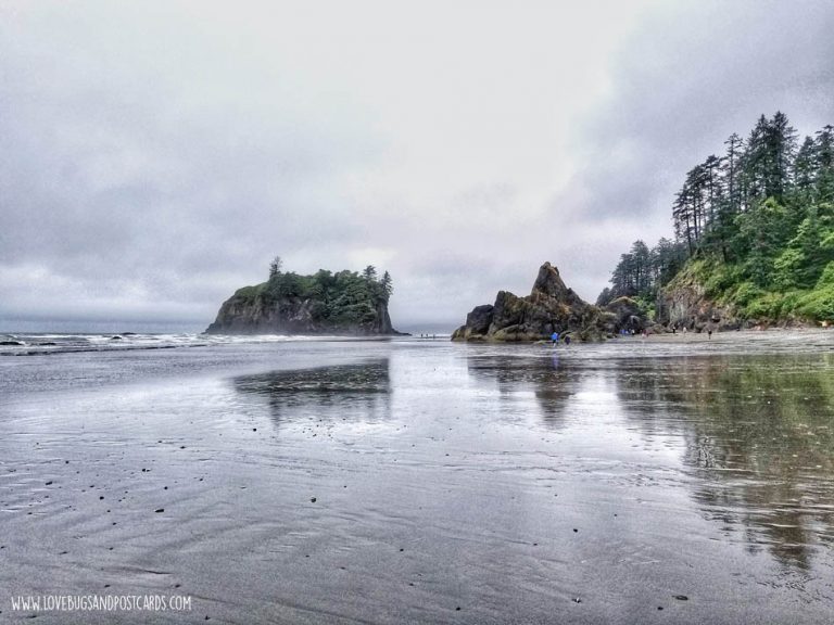 Ruby Beach in Washington - Lovebugs and Postcards